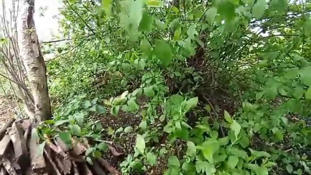 Лютый отходняк