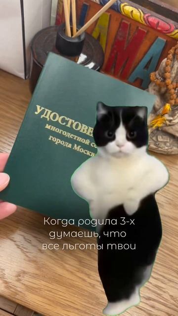 #приколы #mother #дети #funny #льготы #скидки #sale #многодетная?