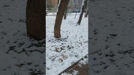 вспомним 2024год