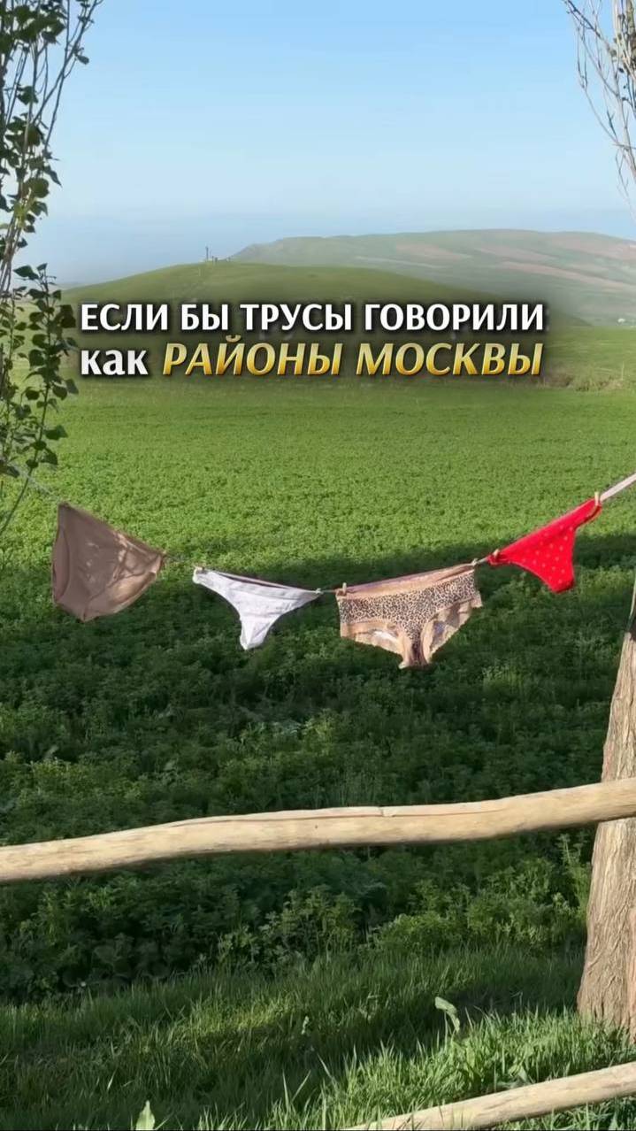 ЕСЛИ БЫ ТРУСЫ ГОВОРИЛИ КАК РАЙОНЫ МОСКВЫ. Елена Кузнецова. Агентство элитной недвижимости