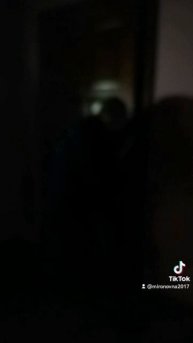 petal_20231206_215854.mp4