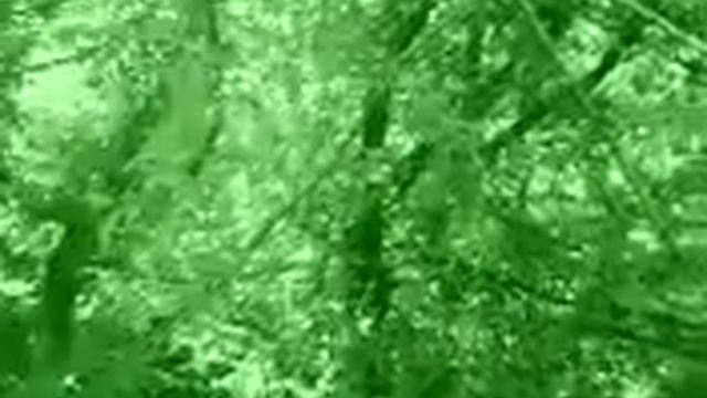 чужой... вот это прикол.... лол