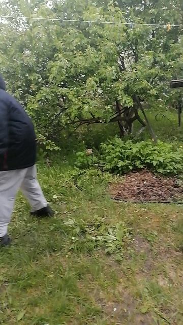 битва