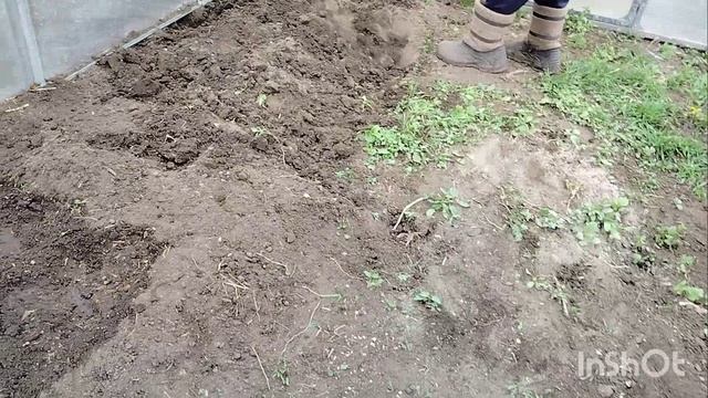 Влог :Теплицы /огород/Алтайский край/11 мая 2025