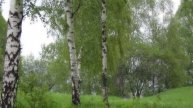 331.=РУСЬ МОЯ, НЕОБЪЯТНАЯ=. Стихи А. Зенцова, муз.и вокал В. Бекка, монтаж В. Зубкова.