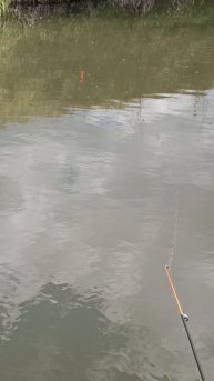 Рыбалка на речке