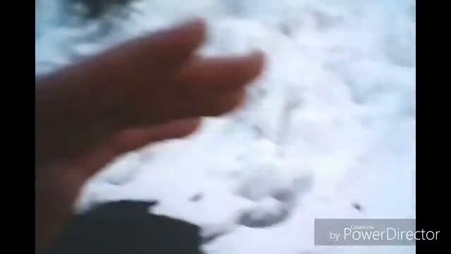 Перелезли через забор на водяную станцию