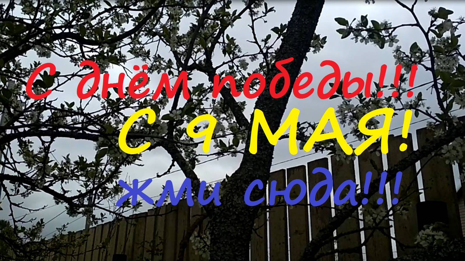 С днём победы, с 9 мая. Подписывайтесь, ведь это красота России!!!