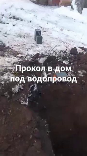 20 января 2025 г.