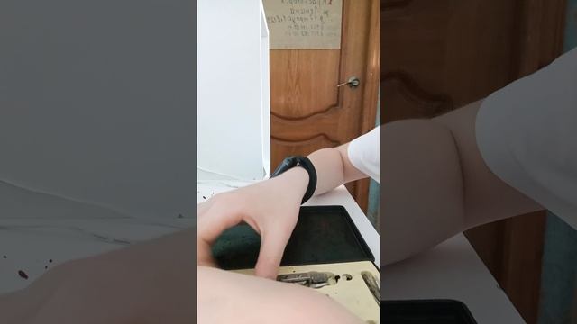 1000009780.mp4