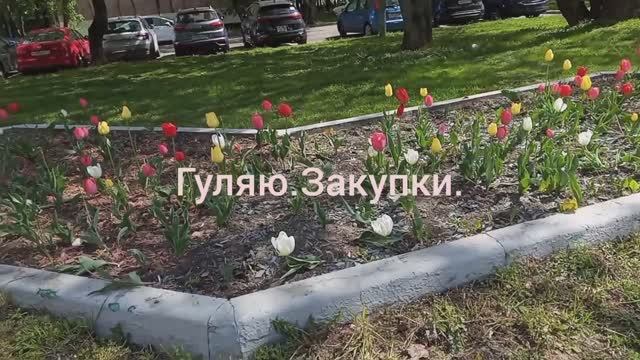 Гуляю.Закупки.