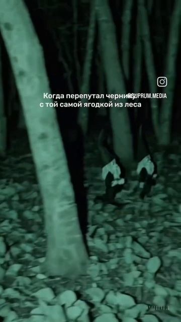 1000037490.mp4