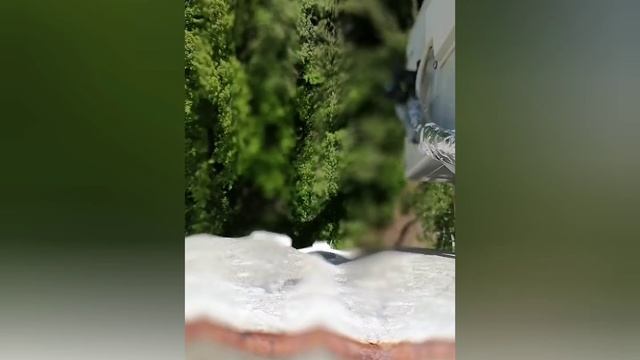 типичный размер клакара