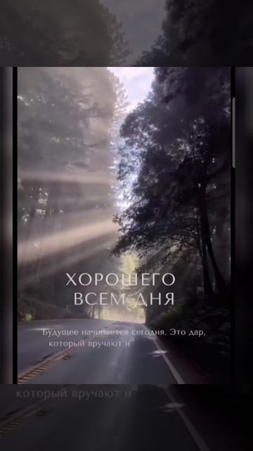 Доброе утро #доброеутро #благодарность