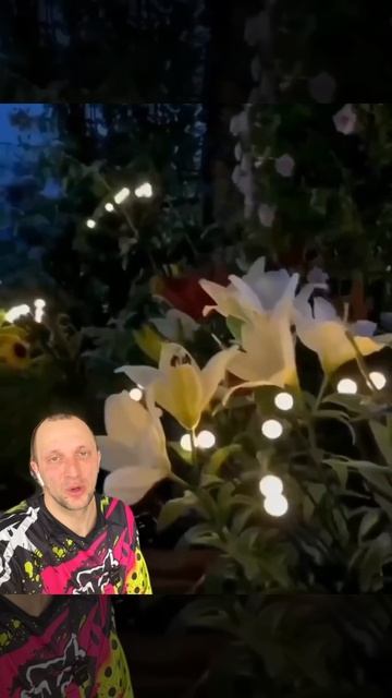 Садовые фонарики