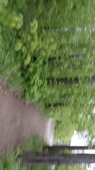 scene_output.mp4