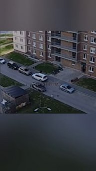 доставщик 🆚 самокатчик