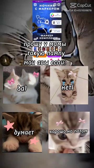 через 10-5 минут поменяю)(Я ОЧЕНЬ ХОЧУ ЭТУ ЛАМПУ)#котики#s