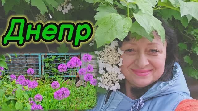 ❤️ДНЕПР ‼️ЭХ, КУПИТЬ БЫ КВАРТИРКУ💥7.05.2025