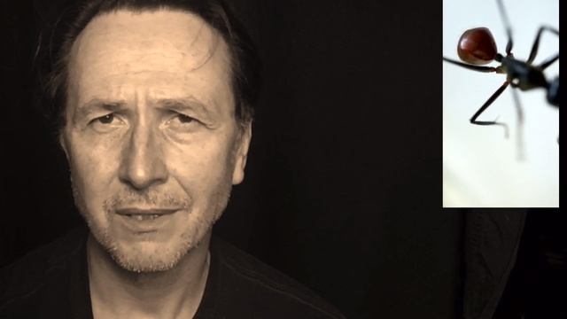 Сергей Чудаков.Муравейник.