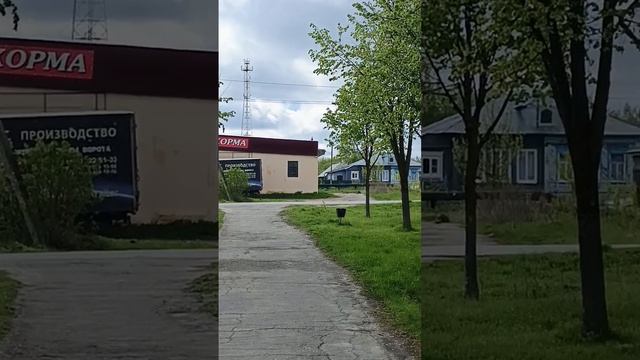 Липовая аллея завода Труд рп Вача