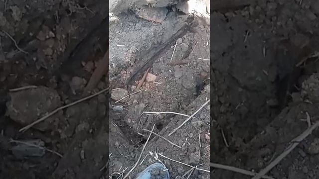 Весомые находки и... погребок 😲