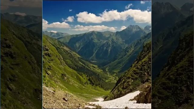 лиса и ворон