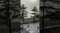 Море с балкона отеля Кукуруза.
Африканская пыль ,солнца не видно….
Весна апрель 2024 год
