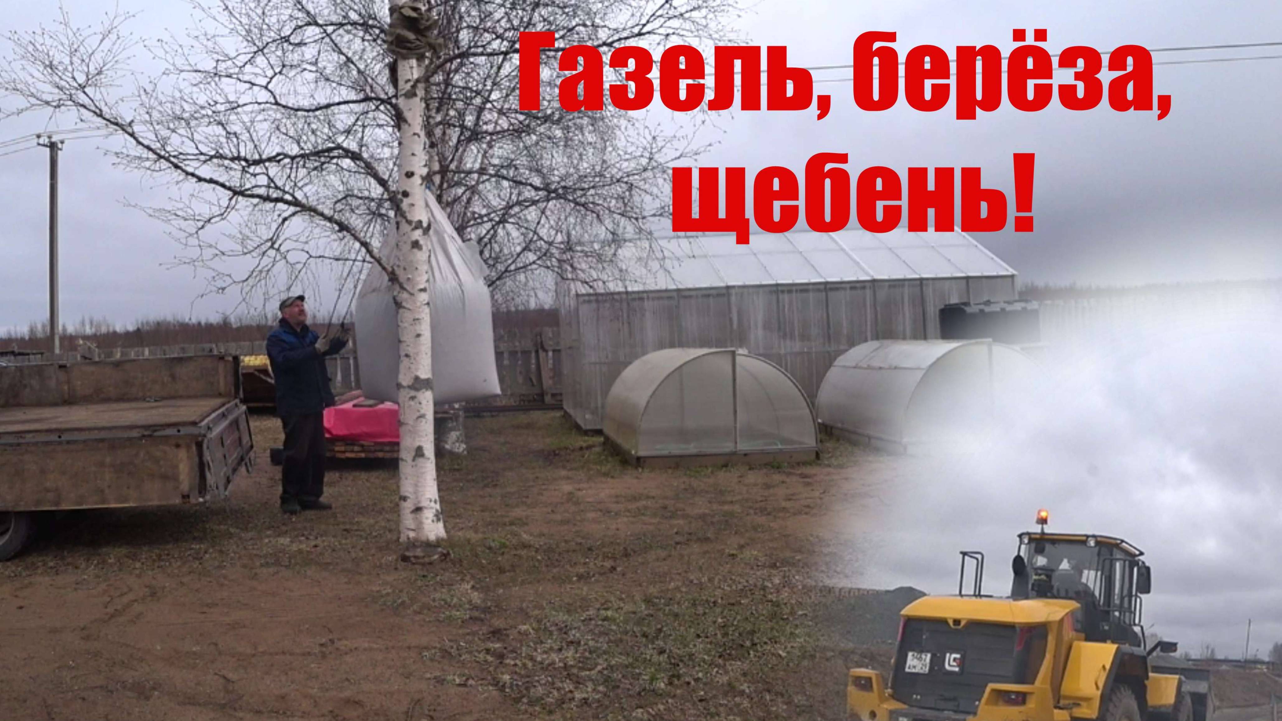 Газель, щебень, берёза.