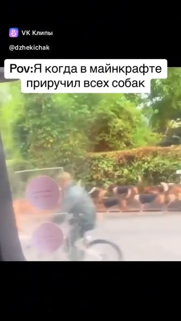 когда приручил всех собак в майнкрафте