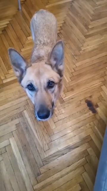 Беги, дорогая, беги!😂😂😂