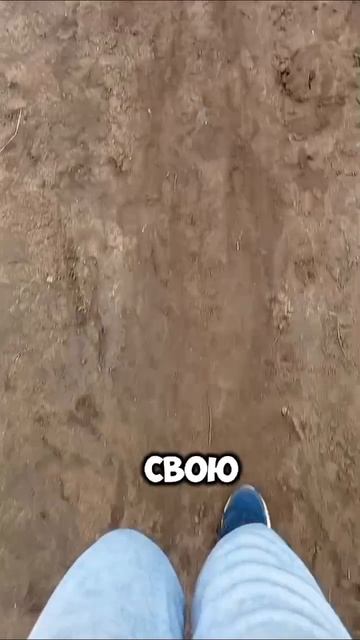 День 5. Коплю 100 тысяч
