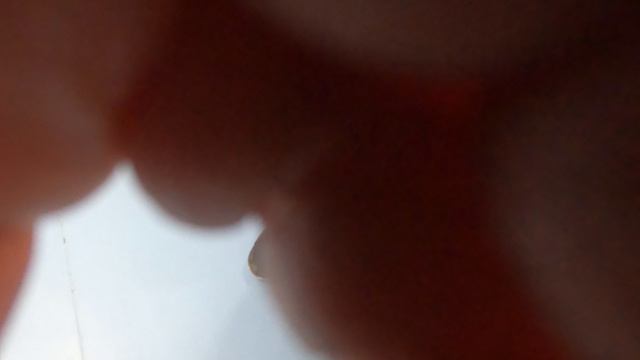 GX017081[1]