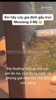 Мир домашних питомцев – Серия 473: Забавные и милые моменты