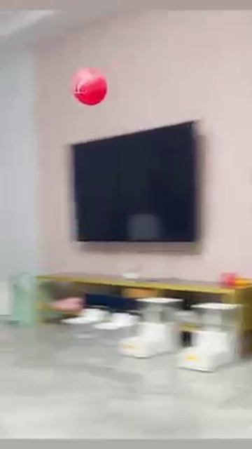 Мир домашних питомцев – Серия 482: Забавные и милые моменты