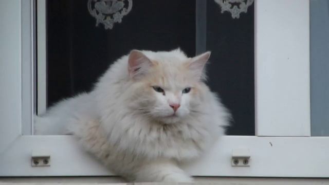 ГРЕЮСЬ.Видео Татьяны Крестьянсковой