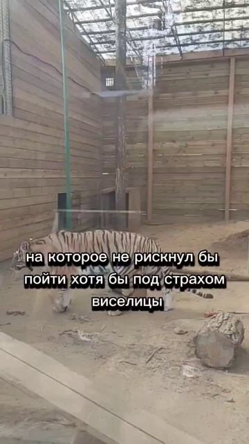 Капитал сломает тебе голову #деньги #инвестиции #финан