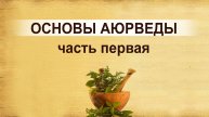 Три стадии здоровья. Основы здорового образа жизни. Базовые понятия аюрведы.