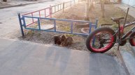 Трое уличных кошариков дружно кушают ^^