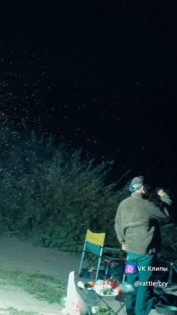 Мошкара летит на свет. Ночная рыбалка