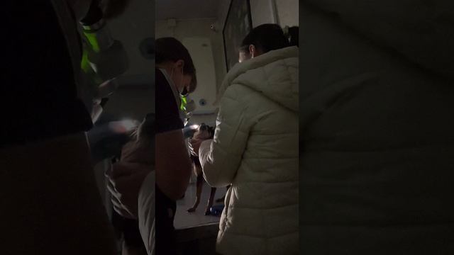 Проверка зрения у собаки 👀🐶 Той герой💪#глаукома #катаракта #отслоениесетчатки #русскийтой #тойтер
