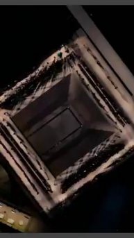 Мир домашних питомцев – Серия 478: Забавные и милые моменты