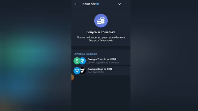 Твой последний шанс получить DOGS перед листингом! Майн?
