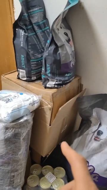 Спасибо большое за помощь! 🙏 #shortvideo #собака #shorts