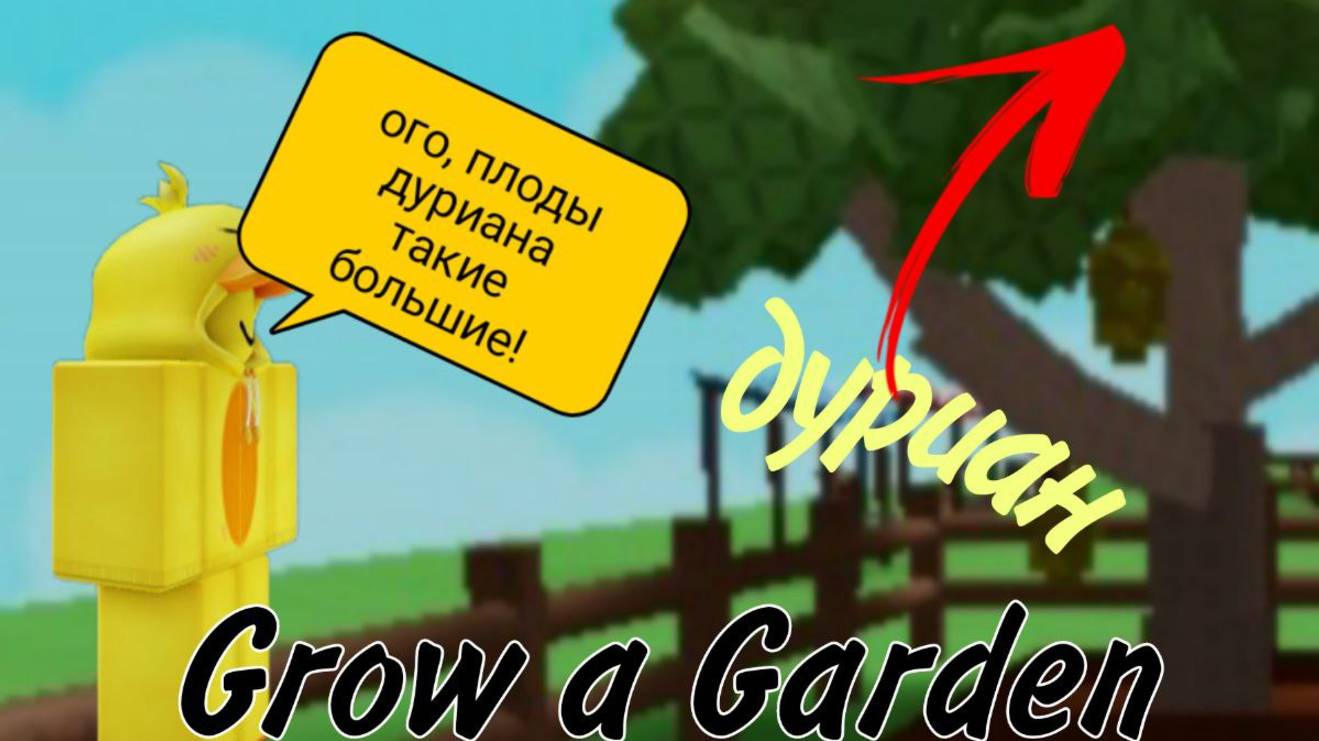 ВЫРАСТИЛ ДУРИАН В РОБЛОКС! | GROW A GARDEN | Roblox