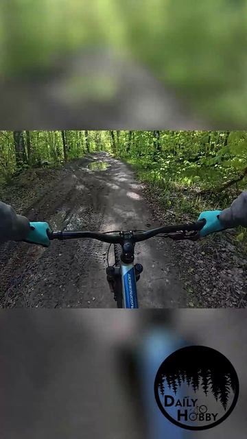 А чем вы занимались на майские праздники?