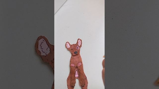 бумажные собаки 😜🥰котята😘