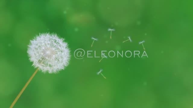 Видео от Элеоноры Тимофеевой