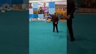 Войс Вельд Эола Борро
ЛЮ, ЛПП.