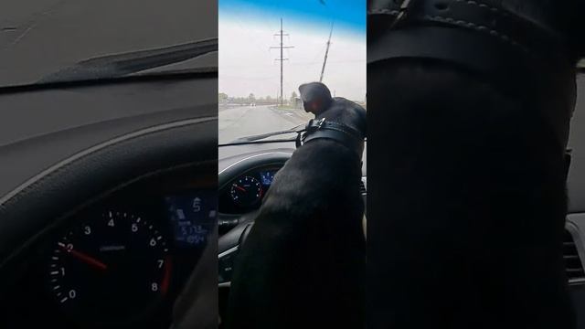1000615954.mp4